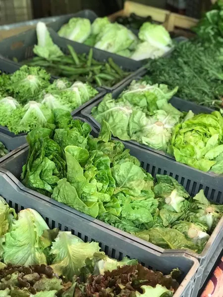 Pays' en Direct vos producteurs de saveurs, OFFICE DE TOURISME DU GRAND RODEZ