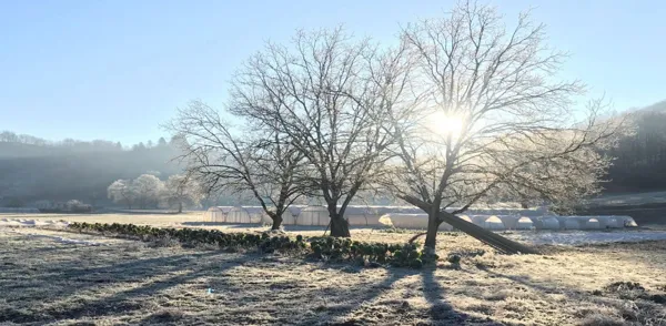 Pays' en Direct vos producteurs de saveurs, OFFICE DE TOURISME DU GRAND RODEZ