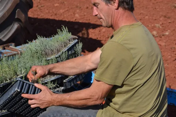 Eric DARLEY - Alambic du Larzac, OFFICE DE TOURISME LARZAC VALLEES