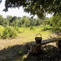 Le Jardin de Flauzins, Le Jardin de Flauzins