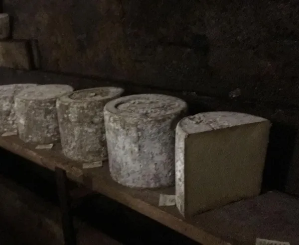 La Ferme Lou Brenac, La Ferme Lou Brenac