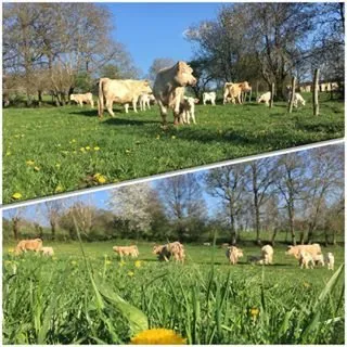 La Ferme Lou Brenac, La Ferme Lou Brenac