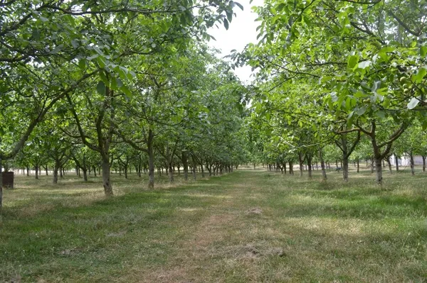 Philippe Andrieu, OFFICE DE TOURISME REGIONAL DE VILLEFRANCHE DE ROUERGUE