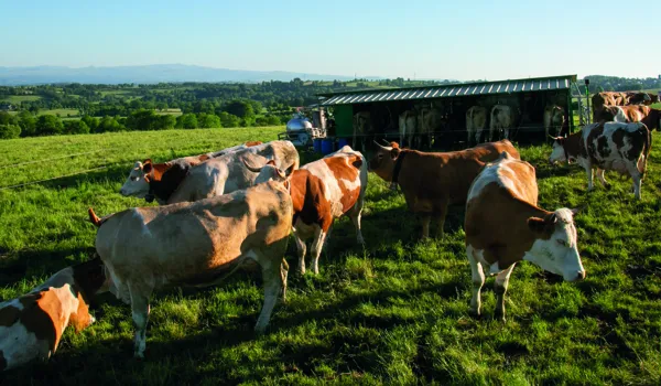 Coopérative Fromagère Jeune Montagne, Maxime Authier