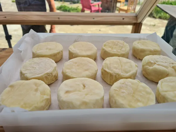 Cabri'oles et compagnie, OFFICE DE TOURISME PAYS DU ROQUEFORT