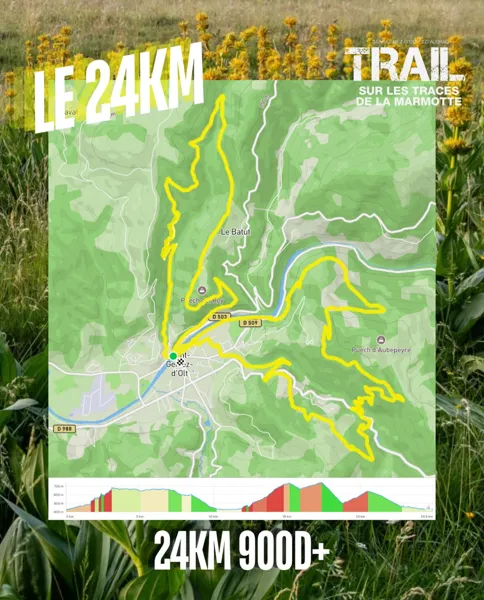 Trail : sur les traces de la Marmotte, Marmotte trail