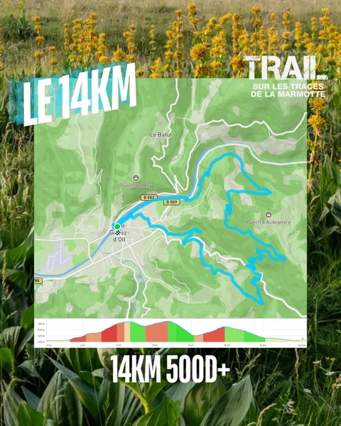 Trail : sur les traces de la Marmotte, Marmotte trail