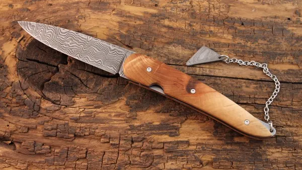 Les Forges de Modulance, Les forges de Modulance