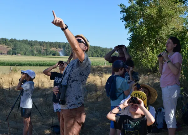 Sortie nature - Ballet aérien dans le ciel du Rougier