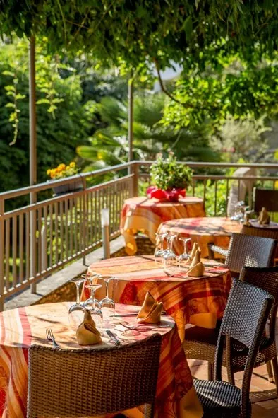 La Terrasse, Vieillevie - photo 4