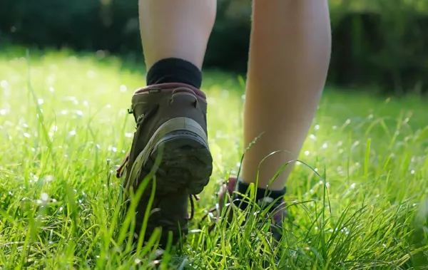 La Rougerie – La Brunellerie