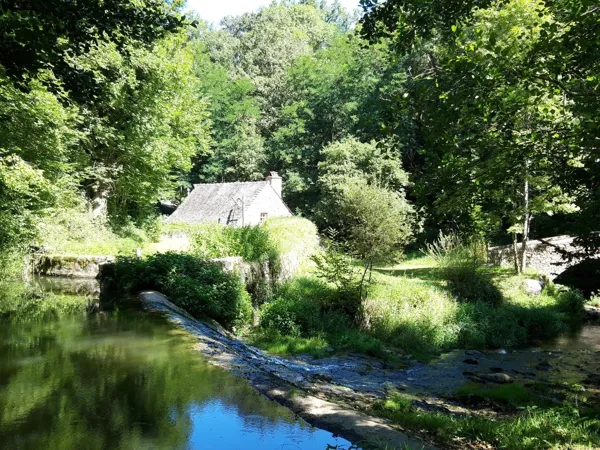 Les Martinets du Lézert - circuit gorges de l'Aveyron et plateau du Ségala, OFFICE DE TOURISME AVEYRON SEGALA