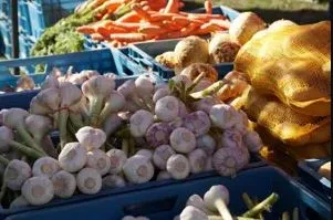 Marché nocturne du 6 août à St Geniez d'Olt