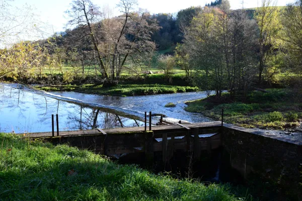 L'Aveyron au Moulin de Bourran, Fédération de pêche de l'Aveyron