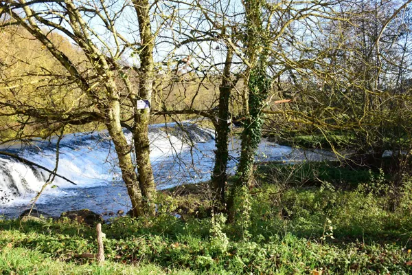 L'Aveyron au Moulin de Bourran, Fédération de pêche de l'Aveyron