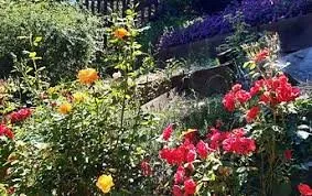 les jardins des enclos