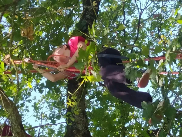 Séance découverte de grimpe d'arbres avec Symbiose à St Geniez