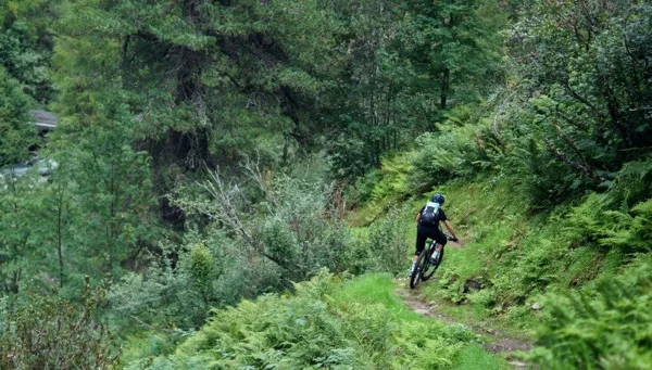 N°18 - Se mettre au vert, OFFICE DE TOURISME PAYS DU ROQUEFORT