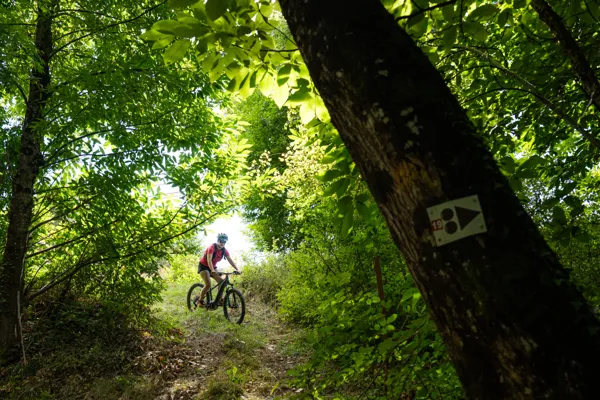 N°18 VTT - Se mettre au vert, Xavier Waerzeggers