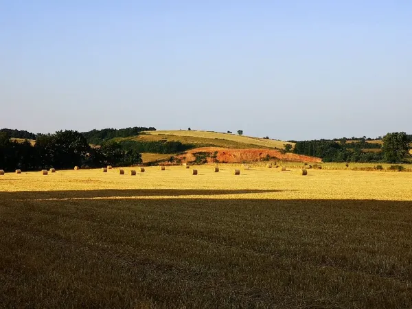 IRVA - Visites de ferme Pays Ségali, OFFICE DE TOURISME PAYS SEGALI