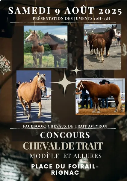 Concours de Chevaux de Trait Modèle et Allure