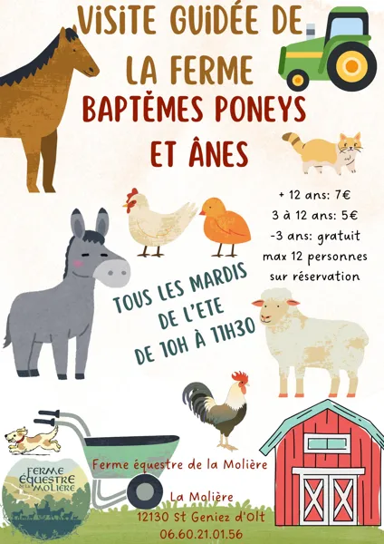 Visite de la ferme et baptême poneys, ânes à la ferme équestre de la Molière