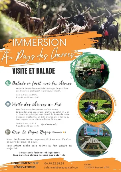 Balade en forêt avec les chèvres à la Ferme du Bêêêz