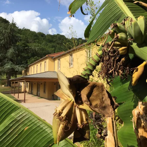 Résidence Le 1837 (groupes), OFFICE DE TOURISME DU PAYS DE ROQUEFORT ET DU ST-AFFRICAIN