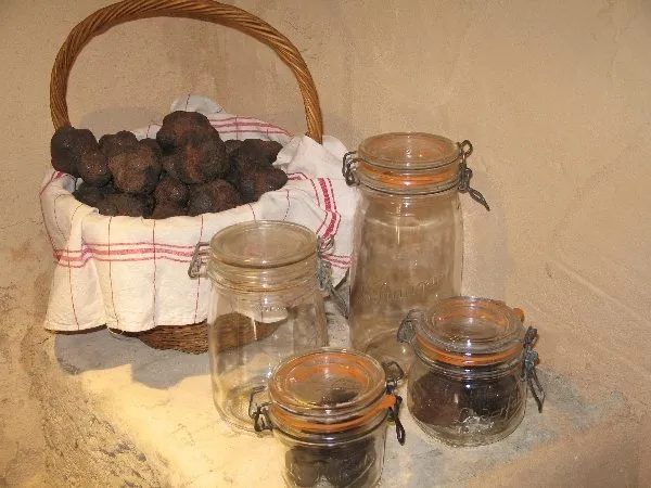 La Maison de la Truffe, OFFICE DE TOURISME DE MILLAU