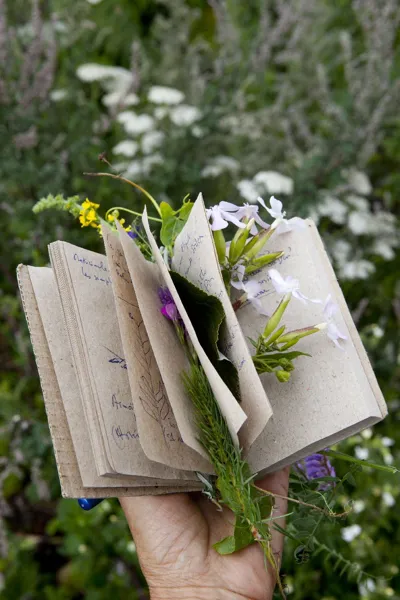 Randonnée : le circuit de Bel-Air, OFFICE DE TOURISME DU CANTON DE MUR DE BARREZ