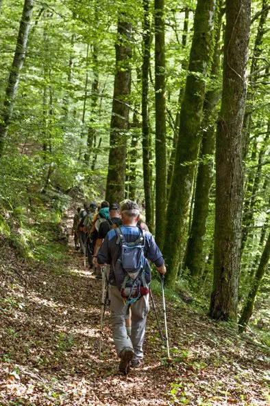Randonnée : le vallon d'Albinhac, OFFICE DE TOURISME DU CANTON DE MUR DE BARREZ