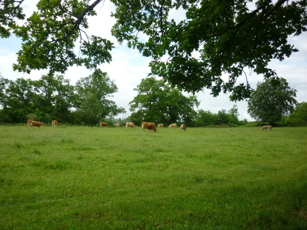 Randonnée : le vallon de Brommat, OFFICE DE TOURISME DU CANTON DE MUR DE BARREZ