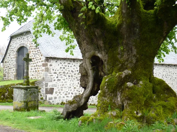 Randonnée : Le village templier de Nigresserre, OFFICE DE TOURISME DU CANTON DE MUR DE BARREZ