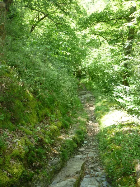 Randonnée : Le sentier des deux vallées, OFFICE DE TOURISME DU CANTON DE MUR DE BARREZ
