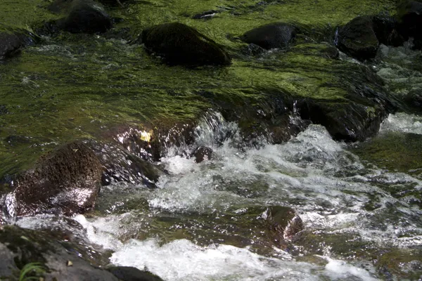 Randonnée : la vallée de la Bromme, OFFICE DE TOURISME DU CANTON DE MUR DE BARREZ