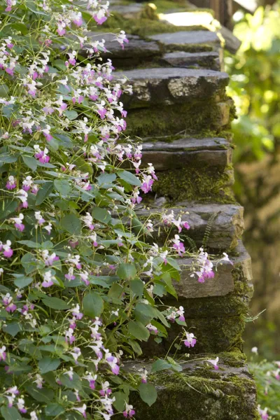Randonnée : Valon, le ruisseau d'Alcuéjoul, OFFICE DE TOURISME DU CANTON DE MUR DE BARREZ