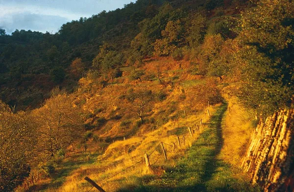 Randonnée : Valon, le ruisseau d'Alcuéjoul, OFFICE DE TOURISME DU CANTON DE MUR DE BARREZ