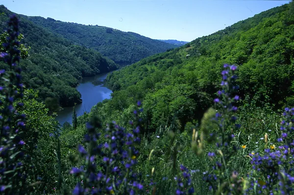 Randonnée : Valon, le ruisseau d'Alcuéjoul, OFFICE DE TOURISME DU CANTON DE MUR DE BARREZ