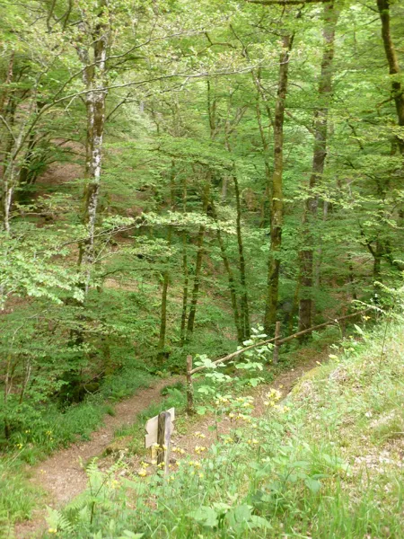 Randonnée : le site de Ronesque, OFFICE DE TOURISME DU CANTON DE MUR DE BARREZ