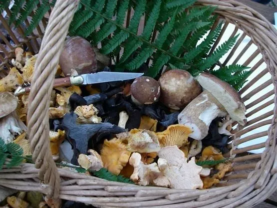 Randonnée : le site de Ronesque, OFFICE DE TOURISME DU CANTON DE MUR DE BARREZ