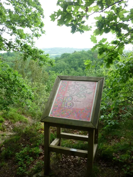 Randonnée : le site de Ronesque, OFFICE DE TOURISME DU CANTON DE MUR DE BARREZ