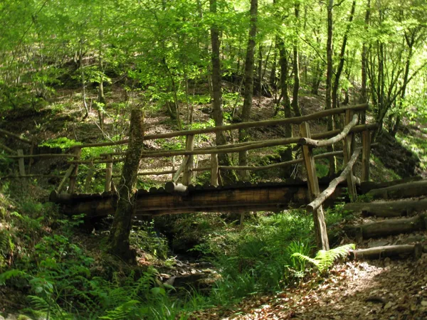 Randonnée : le site de Ronesque, OFFICE DE TOURISME DU CANTON DE MUR DE BARREZ