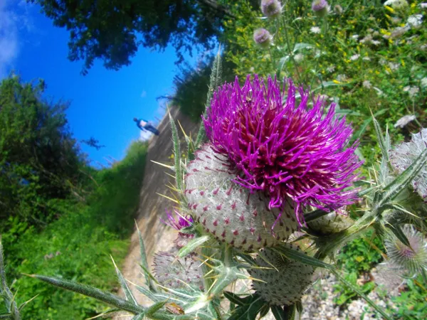 Randonnée : La chapelle de Manhaval, OFFICE DE TOURISME DU CANTON DE MUR DE BARREZ