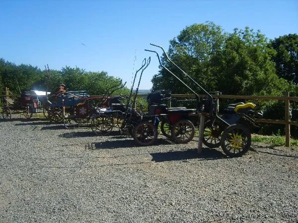 Ecole d'attelage de l'Aubrac, Nicolas PERRAIN