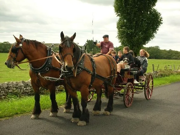 Ecole d'attelage de l'Aubrac, Nicolas PERRAIN