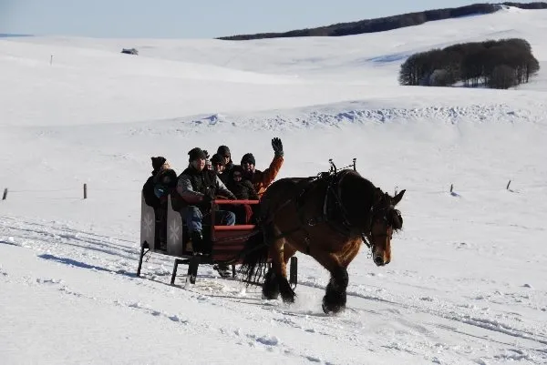 Ecole d'attelage de l'Aubrac, Nicolas PERRAIN