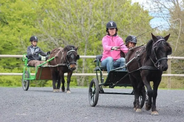 Ecole d'attelage de l'Aubrac- Cours et stages d'attelage, Nicolas PERRAIN