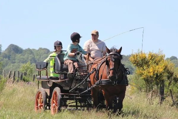 Ecole d'attelage de l'Aubrac- Week-end découverte de l'attelage, Nicolas PERRAIN