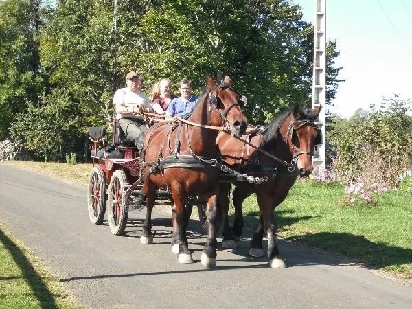 Ecole d'attelage de l'Aubrac- Week-end découverte de l'attelage, Nicolas PERRAIN