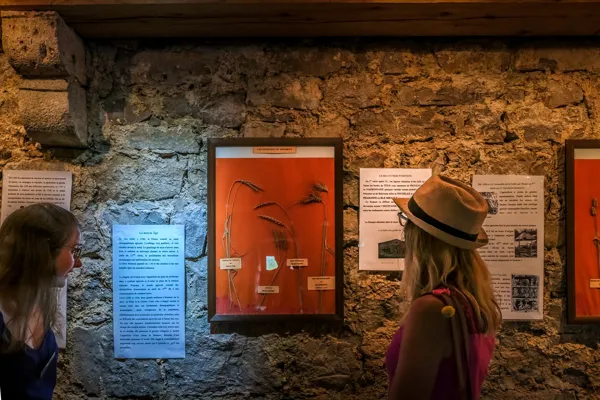 Le Viala du Pas de Jaux - Journées du patrimoine